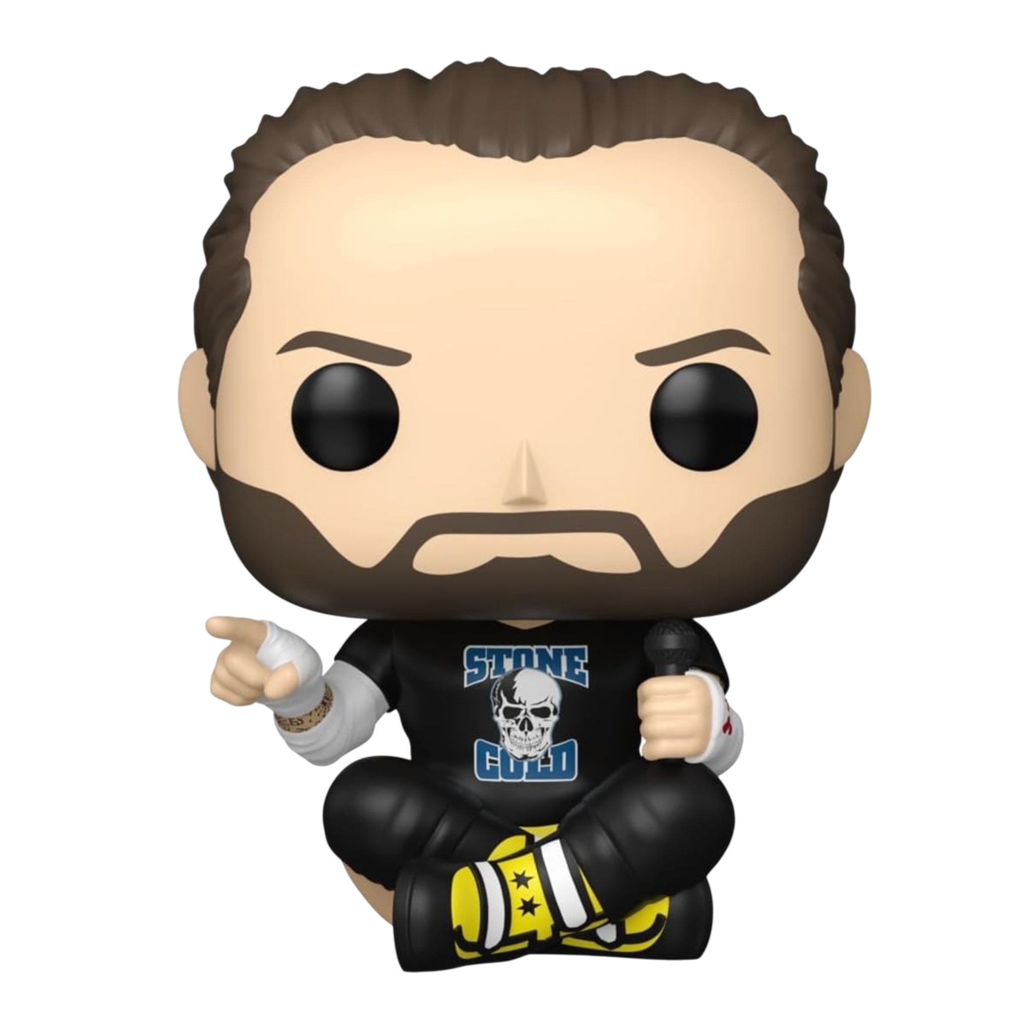 WWE: CM Punk AE Toy Box