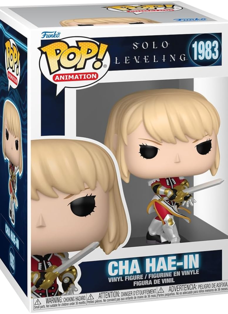 Solo Leveling - Cha Hae-in AE Toy Box