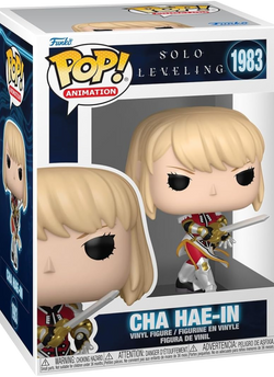 Solo Leveling - Cha Hae-in AE Toy Box