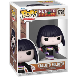 HxH - Kalluto Zoldyck - Hunter X Hunter AE Toy Box