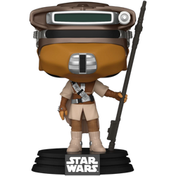 Star Wars: Return of The Jedi 40th Anniversary, Princess Leia AE Toy Box